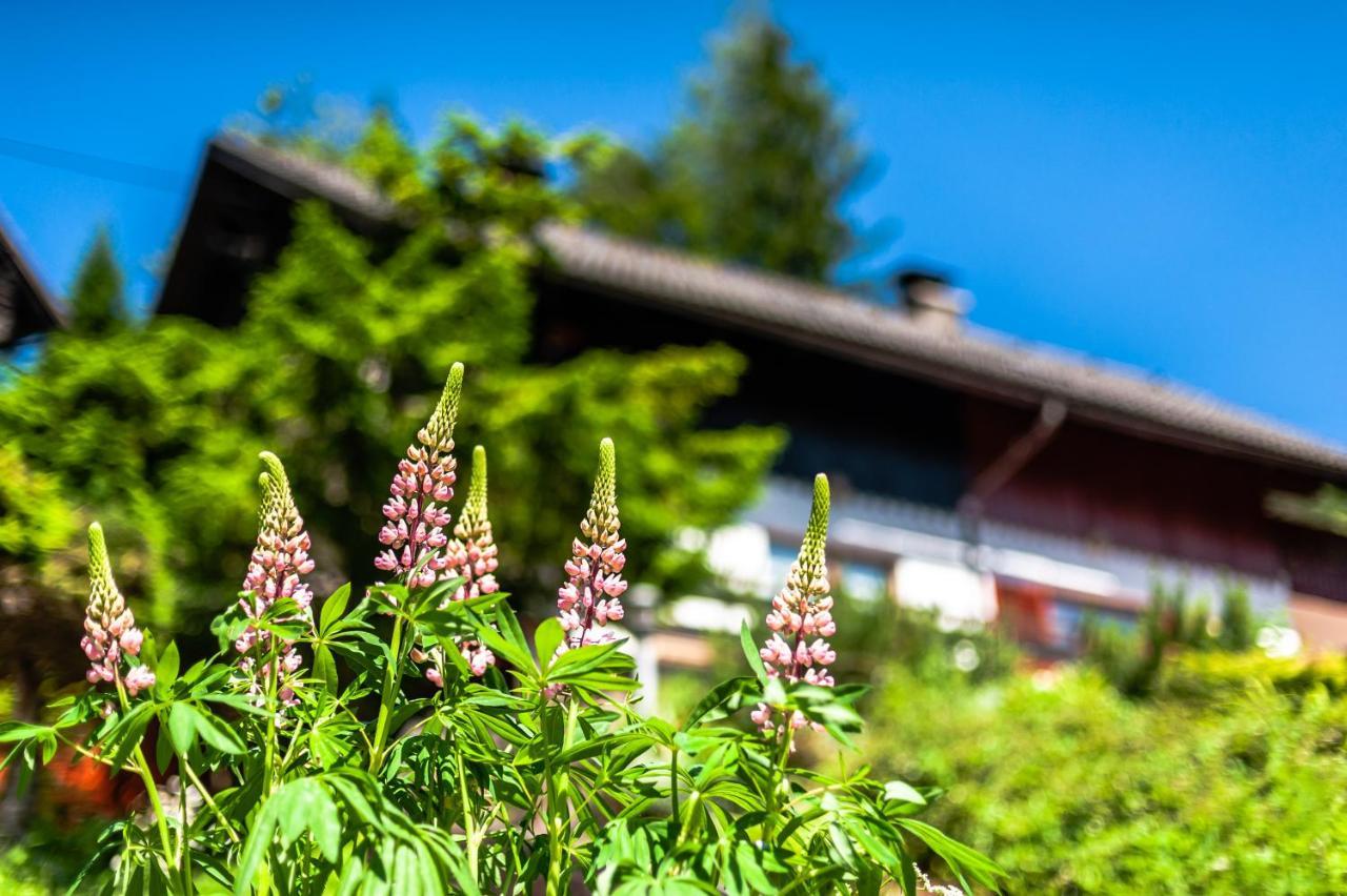Villa House Moose'T Getaway, Kranjska Gora Extérieur photo